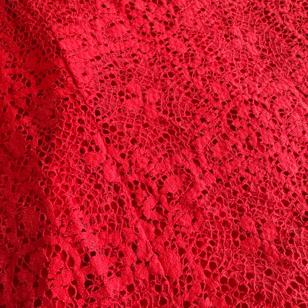 Free People Red Lace Mini Dress - Picture 3 of 14